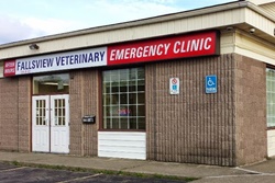 Fallsview Veterinary Emergency Clinic, pet friendly Niagara Falls, vets in Niagara Falls NY
