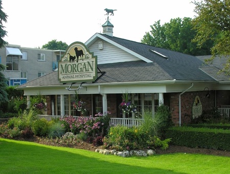 Morgan Animal Hospital pet friendly Veterinarians in Niagara Falls New York, vets in Niagara