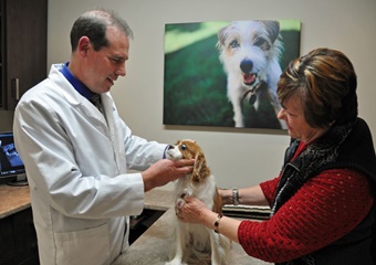 Morgan Animal Hospital pet friendly Veterinarians in Niagara Falls New York, vets in Niagara