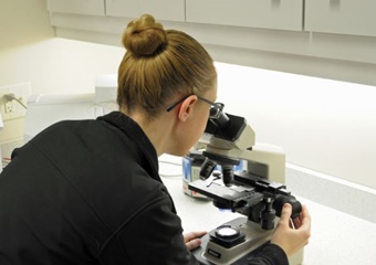 Morgan Animal Hospital pet friendly Veterinarians in Niagara Falls New York, vets in Niagara